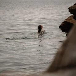 Womens Nikki Van Dijk Bikini Cut 1mm Front Zip Springsuit Wetsuit -Mystic Shop 45826 120mm20Springsuit20Bikini20Cut20Front20Zip20Moon202010.2000x2000