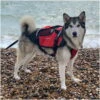 Crewsaver Pet Dog / Cat Lifejacket Float -Mystic Shop cs petfloat husky 500x500.2000x2000
